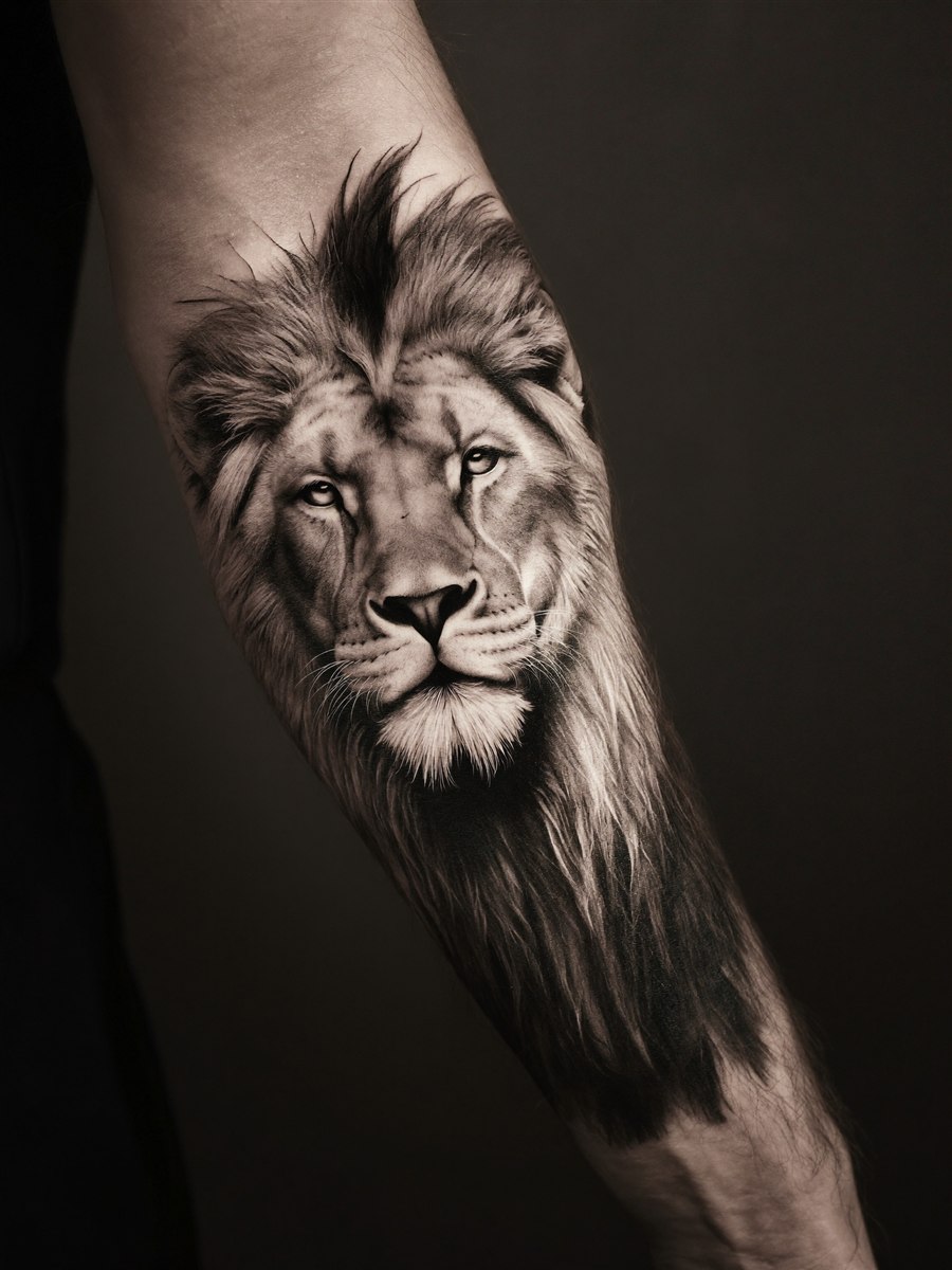 Löwe, Black & Grey